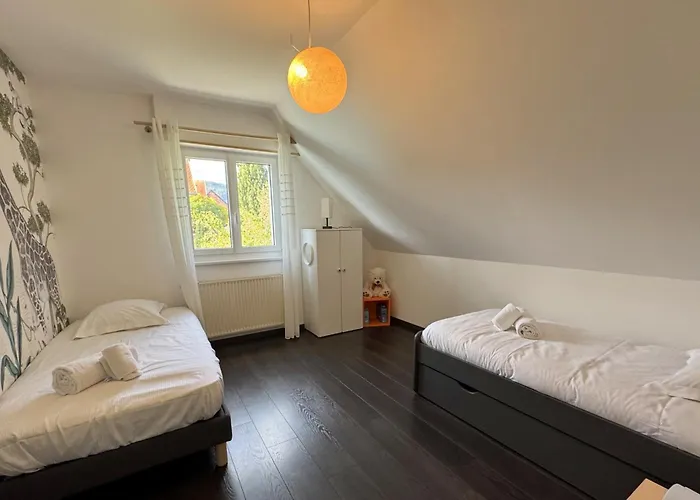 Vogelgarten - Maison De Entre Vignes, Et Chants D'oiseaux Villa *